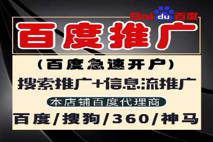探索SEM推广代运营的奥秘：成功背后的故事